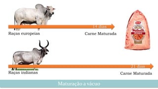 Maturação a vácuo
Raças europeias
Raças indianas Carne Maturada
Carne Maturada
21 dias
14 dias
 