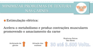 MINIMIZAR PROBLEMAS DE TEXTURA
NAS CARNES
Estimulação elétrica:
Acelera o metabolismo e produz contrações musculares
promovendo o amaciamento da carne
Aceleração da
glicose
Ativação das
enzimas
Rupturas físicas
das fibras
 