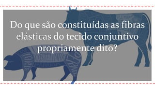 Do que são constituídas as fibras
elásticas do tecido conjuntivo
propriamente dito?
 