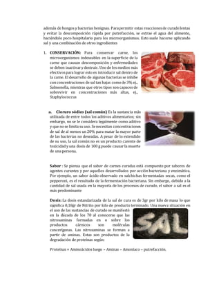 Practica de Carne Seca, PDF, Carne