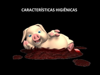 CARACTERÍSTICAS HIGIÊNICAS   