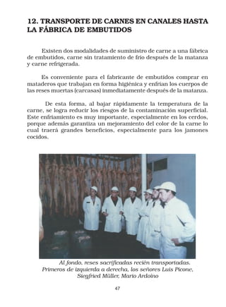 12. TRANSPORTE DE CARNES EN CANALES HASTA
LA FÁBRICA DE EMBUTIDOS

     Existen dos modalidades de suministro de carne a una fábrica
de embutidos, carne sin tratamiento de frío después de la matanza
y carne refrigerada.

      Es conveniente para el fabricante de embutidos comprar en
mataderos que trabajan en forma higiénica y enfrían los cuerpos de
las reses muertas (carcasas) inmediatamente después de la matanza.

       De esta forma, al bajar rápidamente la temperatura de la
carne, se logra reducir los riesgos de la contaminación superficial.
Este enfriamiento es muy importante, especialmente en los cerdos,
porque además garantiza un mejoramiento del color de la carne lo
cual traerá grandes beneficios, especialmente para los jamones
cocidos.




           Al fondo, reses sacrificadas recién transportadas.
     Primeros de izquierda a derecha, los señores Luis Picone,
                  Siegfried Müller, Mario Ardoíno

                                 47
 