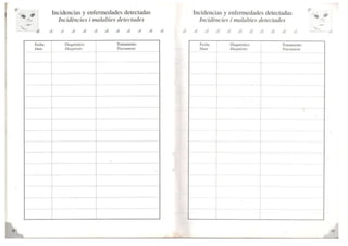 Carnet