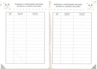 Carnet