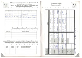 Carnet