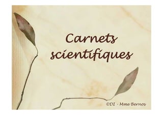 Carnets
scientifiques



         ©DI - Mme Bernos
 