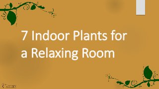 7 Indoor Plants for
a Relaxing Room
 