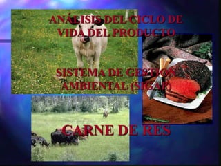 ANÁLISIS DEL CICLO DE
VIDA DEL PRODUCTO
SISTEMA DE GESTION
AMBIENTAL (SIGAP)
CARNE DE RES
 