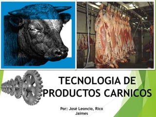 Por: José Leoncio, Rico
Jaimes
TECNOLOGIA DE
PRODUCTOS CARNICOS
 