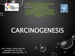 CARCINOGENESIS
Dra. Yuranis Tirado Socarrás
Residente de 1er nivel
Maracaibo, Junio del 2023
 