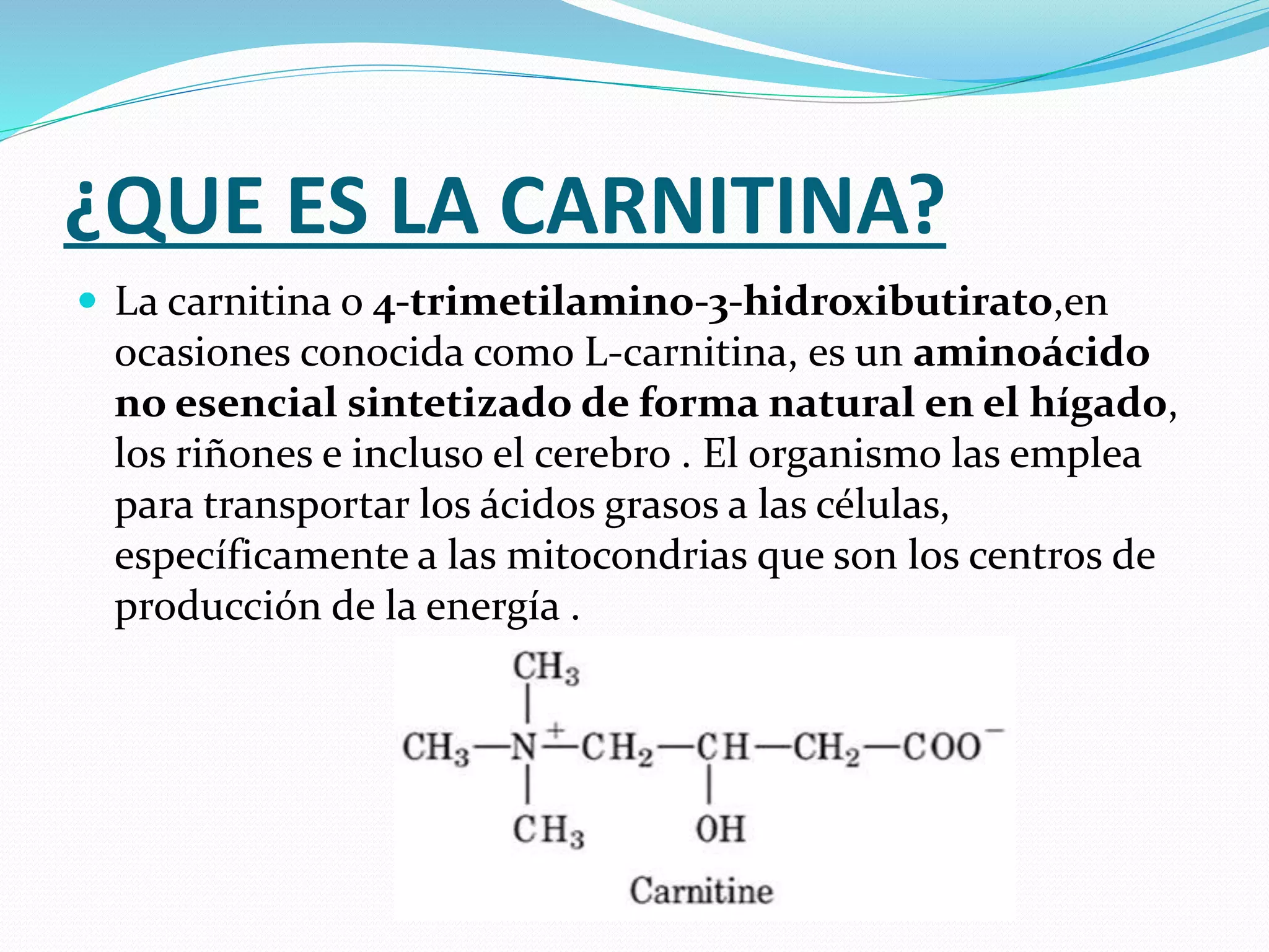 l carnitina afecta los riñones Carnitina