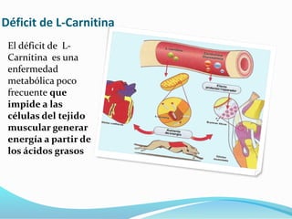 Déficit de L-Carnitina
El déficit de L-
Carnitina es una
enfermedad
metabólica poco
frecuente que
impide a las
células del tejido
muscular generar
energía a partir de
los ácidos grasos
 