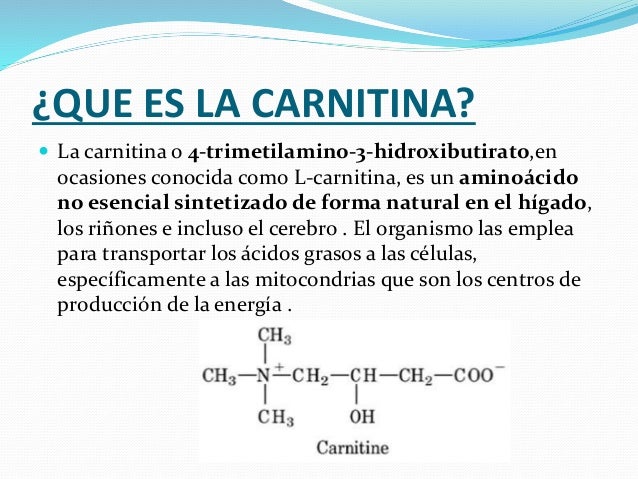 Carnitina Carnitina