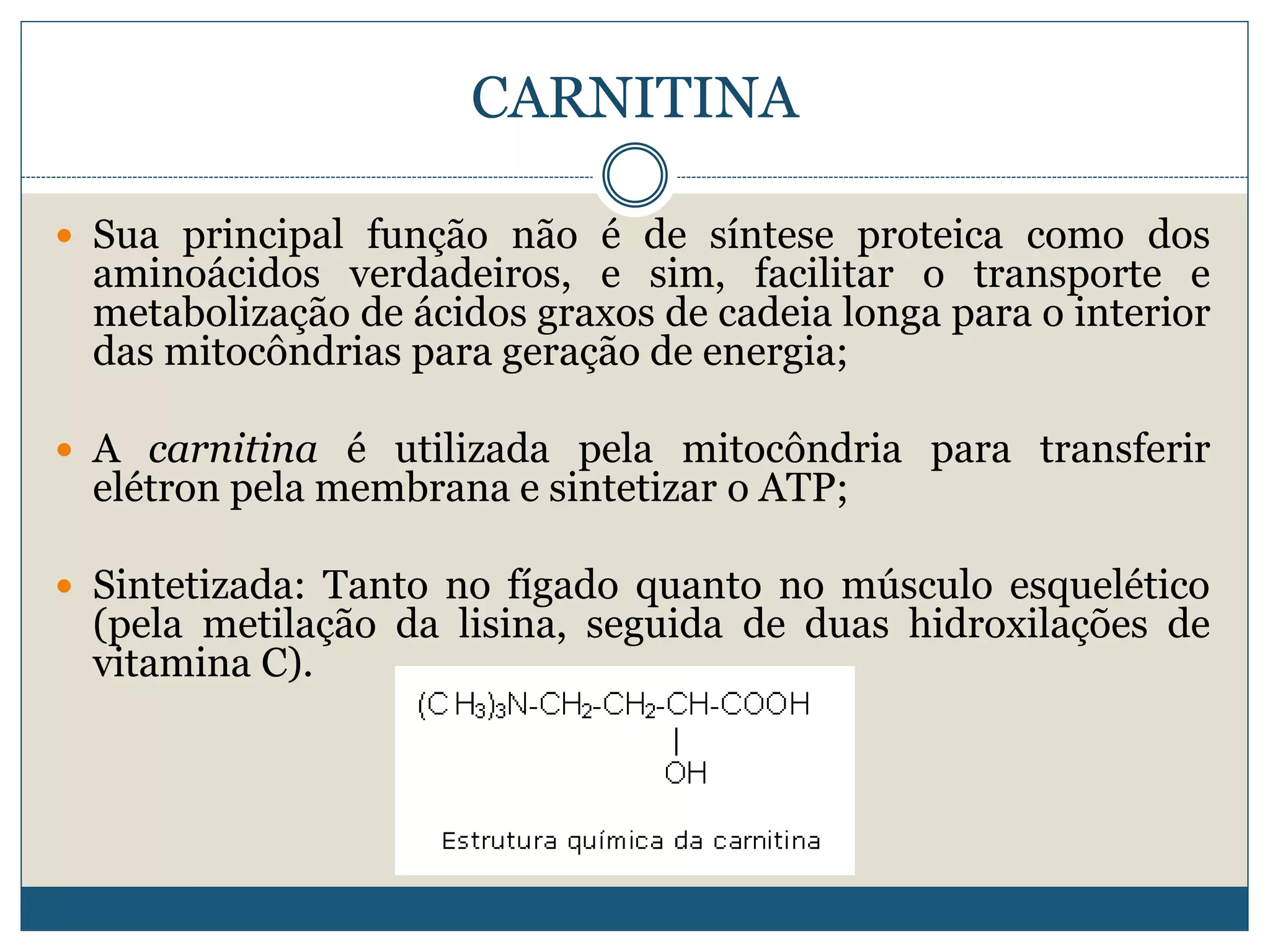 l carnitina função – Wikipédia, a enciclopédia livre Nutry - Nutry Whey Suplementos: