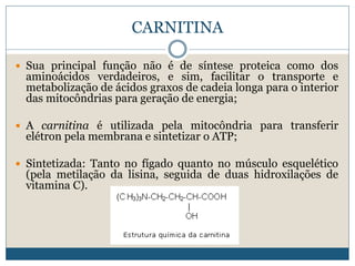 l carnitina função Carnitina