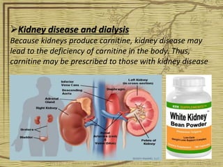 Kidney disease and dialysis
Because kidneys produce carnitine, kidney disease may
lead to the deficiency of carnitine in the body. Thus,
carnitine may be prescribed to those with kidney disease
 