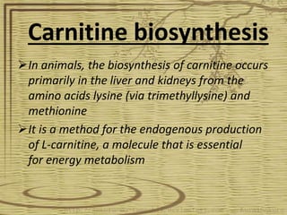 In animals, the biosynthesis of carnitine occurs
primarily in the liver and kidneys from the
amino acids lysine (via trimethyllysine) and
methionine
It is a method for the endogenous production
of L-carnitine, a molecule that is essential
for energy metabolism
Carnitine biosynthesis
 