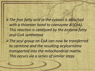 The free fatty acid in the cytosol is attached
with a thioester bond to coenzyme A (CoA).
This reaction is catalyzed by the enzyme fatty
acyl-CoA synthetase
The acyl group on CoA can now be transferred
to carnitine and the resulting acylcarnitine
transported into the mitochondrial matrix.
This occurs via a series of similar steps
 