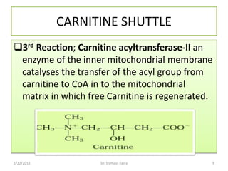 carnitinedeficiency-.pdf