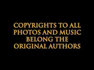 Carnival 2014 around the world (v.m.)