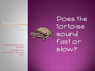 Tortoise Slideshow Carnival of the animals slideshow | PDF