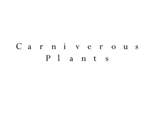 Carniverous Plants 