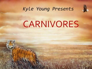 Kyle Young Presents Carnivores 