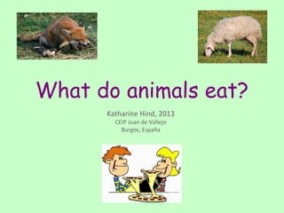 What do animals eat?
      Katharine Hind, 2013
        CEIP Juan de Vallejo
          Burgos, España
 