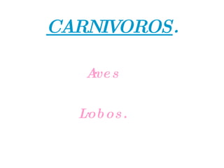 CARNIVOROS . · Aves · Lobos. 