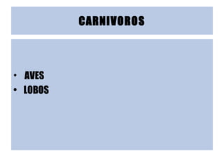 CARNIVOROS ,[object Object],[object Object]