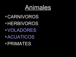 Animales
CARNIVOROS
HERBIVOROS
VOLADORES
ACUATICOS
PRIMATES
 
