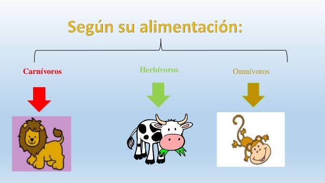 Carnivoros Omnivoros Y Hervivoros