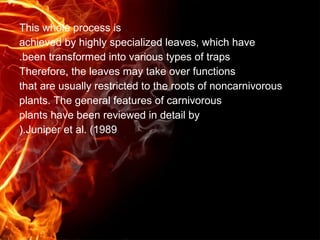 Carnivorous plant | PPT