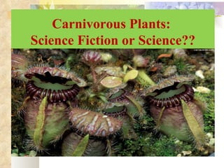 Carnivorous Plants:
Science Fiction or Science??
 