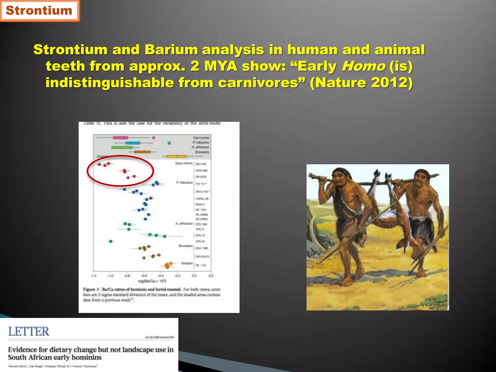 Strontium and Barium analysis in human and animal
teeth from approx. 2 MYA show: “Early Homo (is)
indistinguishable from carnivores” (Nature 2012)
Strontium
 