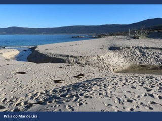 Praia do Mar de Lira
 