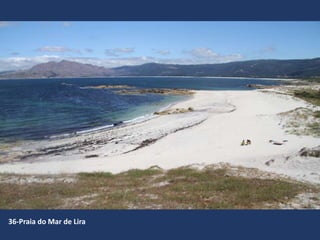 36-Praia do Mar de Lira
 
