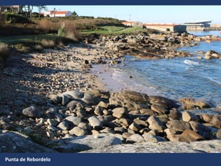 Punta de Rebordelo
 