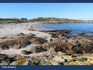 Praia da Barca
 