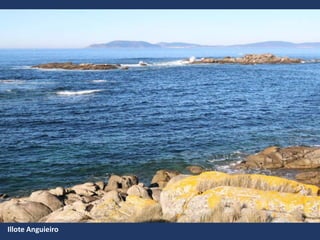 Illote Anguieiro
 