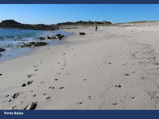 Porto Balea
 