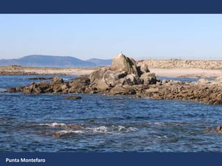 Punta Montefaro
 