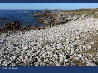Porto do Curro
 