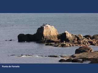 Punta do Fornelo
 