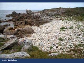 Porto das Cabras
 