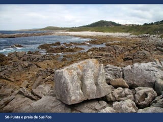 50-Punta e praia de Susiños
 