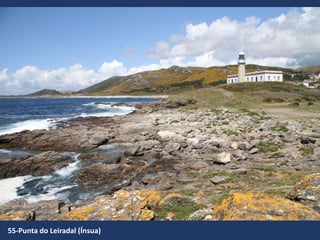 55-Punta do Leiradal (Ínsua)
 