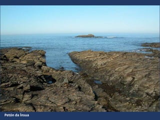 Petón da Ínsua
 