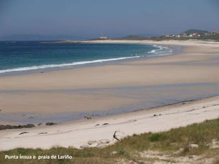 Punta Ínsua e praia de Lariño
 