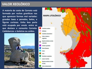 VALOR XEOLÓXICO
A maioría da costa de Carnota está
formada por rochas graníticas nas
que aparecen formas moi variadas:
grandes laxes e penedos, bolos, e
figuras curiosas. Unha boa parte
está ocupada por areais -entre os
que destaca o conxunto Carnota-
Caldebarcos- e boleiras ou coídos.
MAPA LITOLÓXICO
 